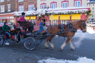 Hotel | Quebec | Monsieur Jean | Activity