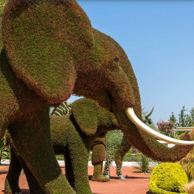 Image Elephant - Mosaiculture de Québec