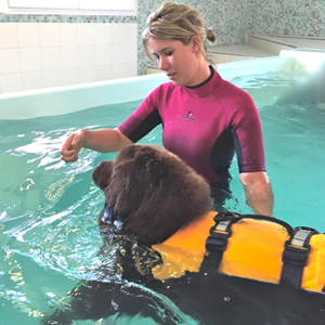 Nager avec votre chien | AquaAnimal | Quoi raire avec votre chien