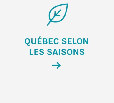 Bouton avec symbole turquoise et texte "Québec selon les saisons"