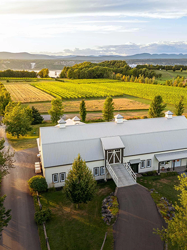 Vue aérienne de Saint-Pierre Le Vignoble, un domaine viticole situé sur l'île d'Orléans, avec son pavillon blanc entouré de vignes, de champs verdoyants et offrant une vue panoramique sur le fleuve Saint-Laurent et les montagnes en arrière-plan.