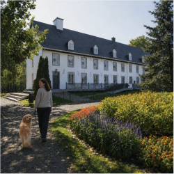 Promenade avec un chien au Domaine de Maizerets, à Québec City